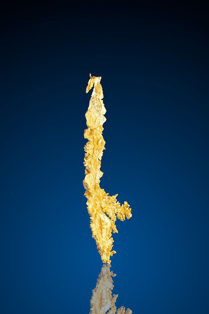 (image for) Exceptional Long - Crystalized Gold Specimen from Round Mountain, NV